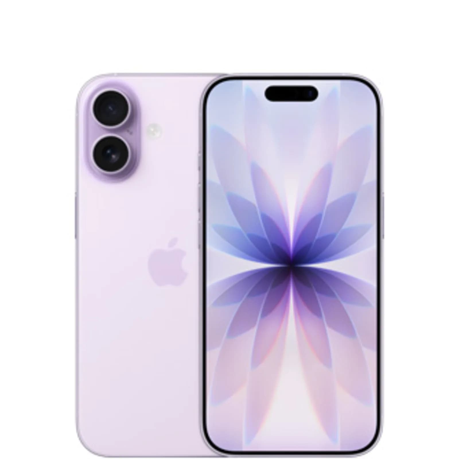 iPhone 17 lavande, vues avant et arrière